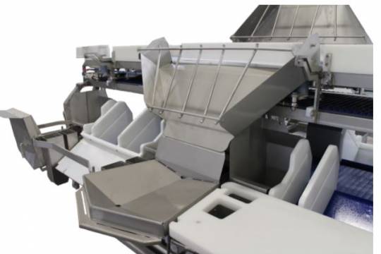 Individualized deboning and cutting line for poultry